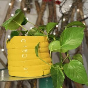 Vaso TUBÌ Medio Giallo