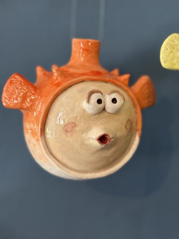 Pesce palla arancione - immagine 3