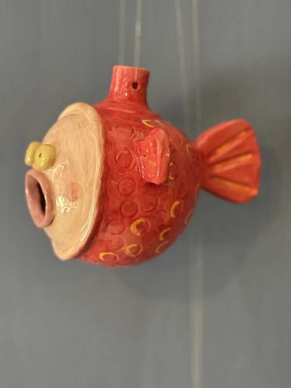 Pesce palla rosso - immagine 3