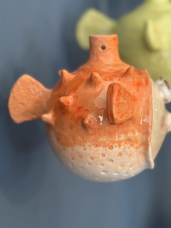 Pesce palla arancione - immagine 2
