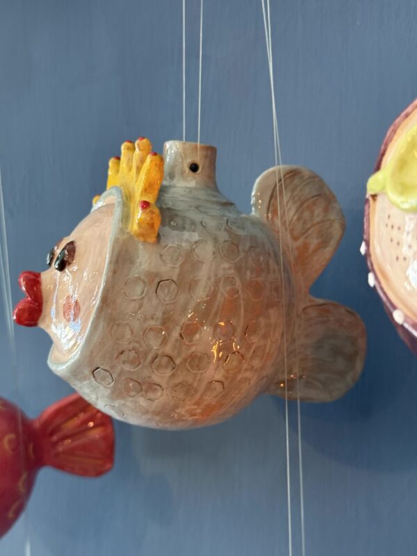 Pesce palla Regina - immagine 2